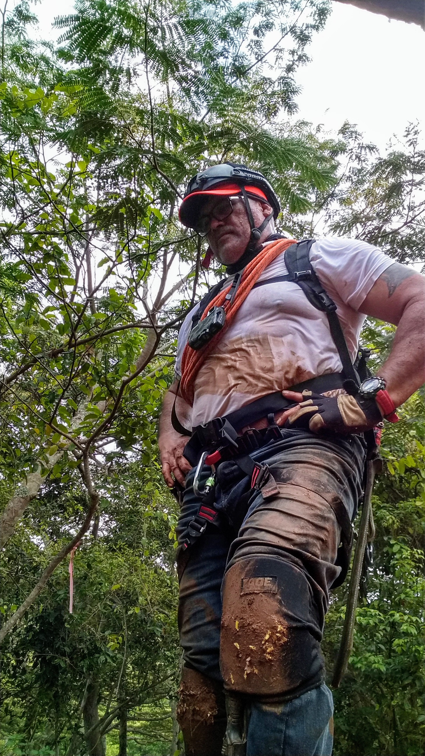 Charlie in working kit, helmet and gloves, deep in the jungle.