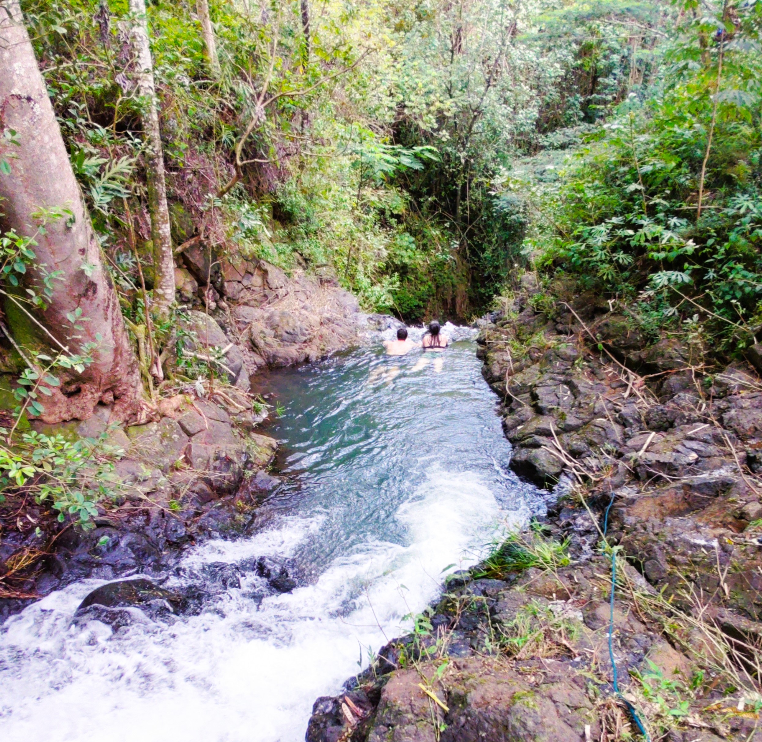 Two guests swimming in the still pool at the top of a hidden jungle waterfall.